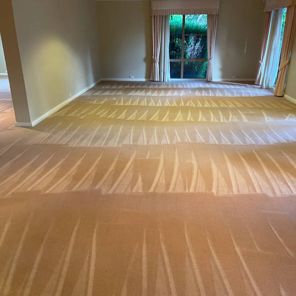 moving house cleaners